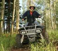 All Terrain Vehicle 